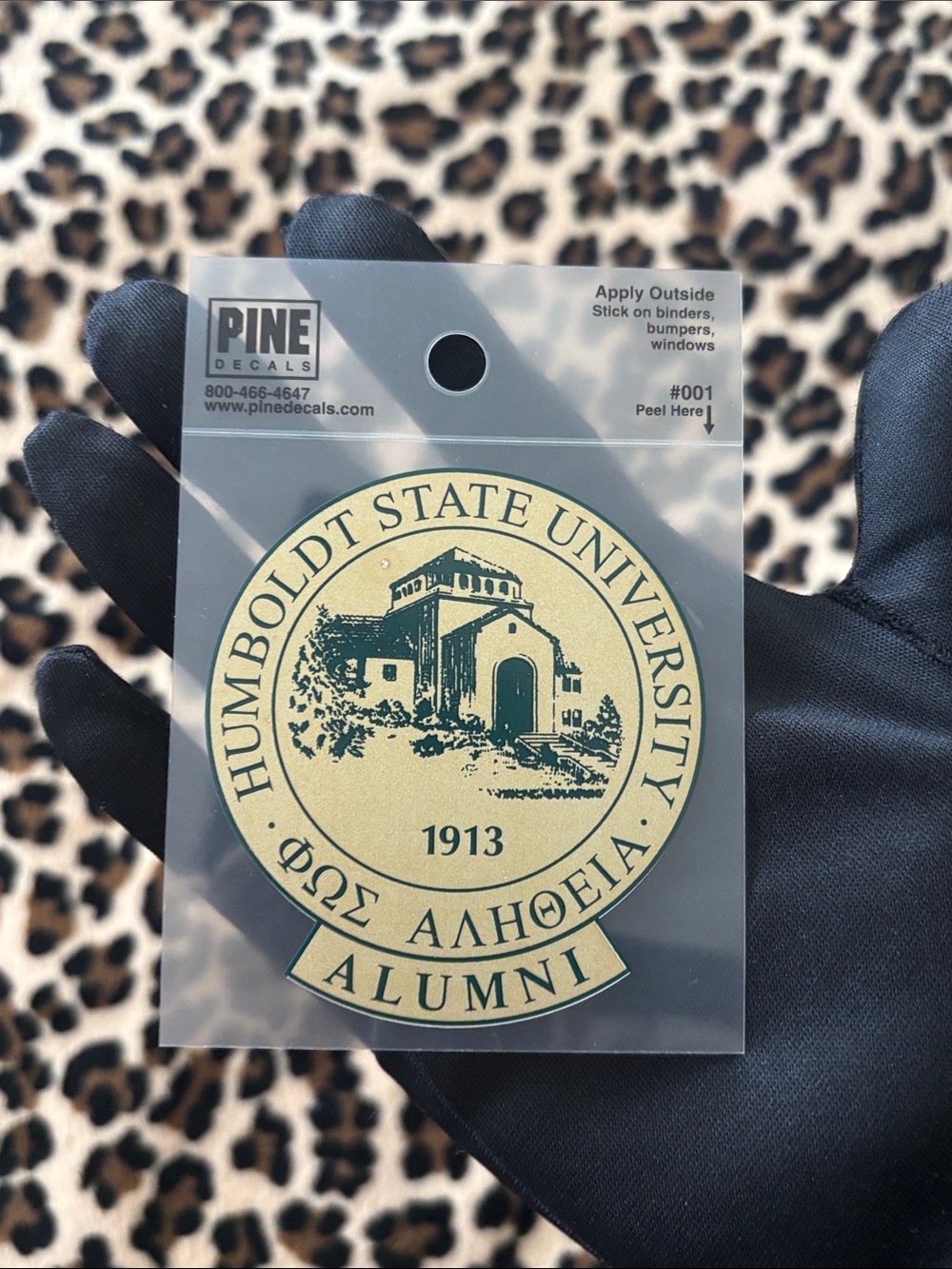 HUMBOLDT STATE UNIVERSITY 🌲 Alumni Gold Sticker Decal College California NorCal - Picture 3 of 9